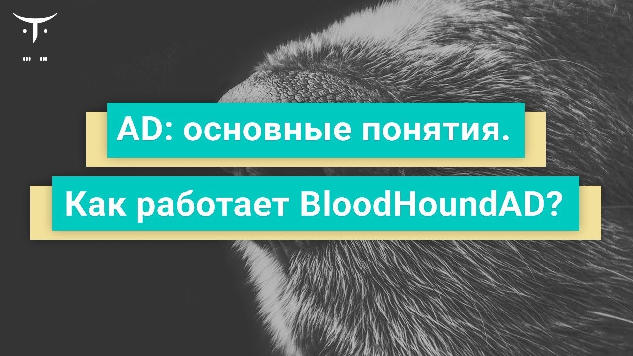 AD: основные понятия. Как работает BloodHoundAD // «Пентест. Практика тестирования на проникновение»
