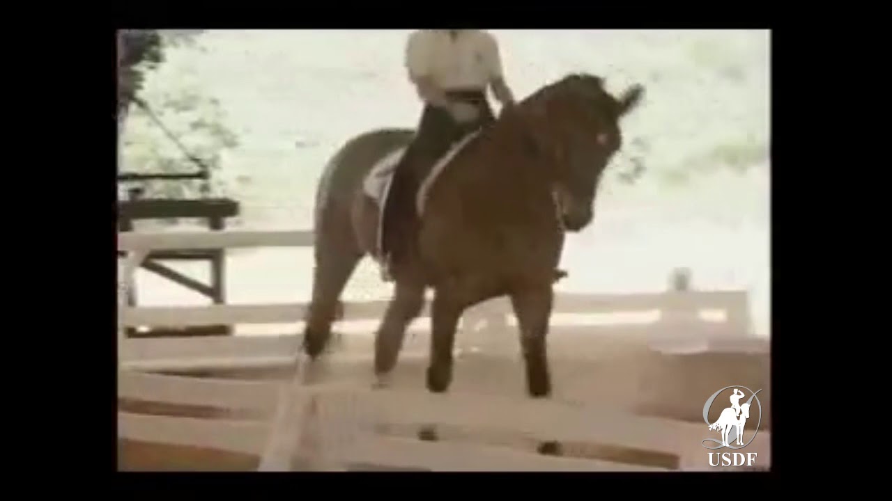 USDF 1993 National Symposium   Counter Canter and Lead Changes