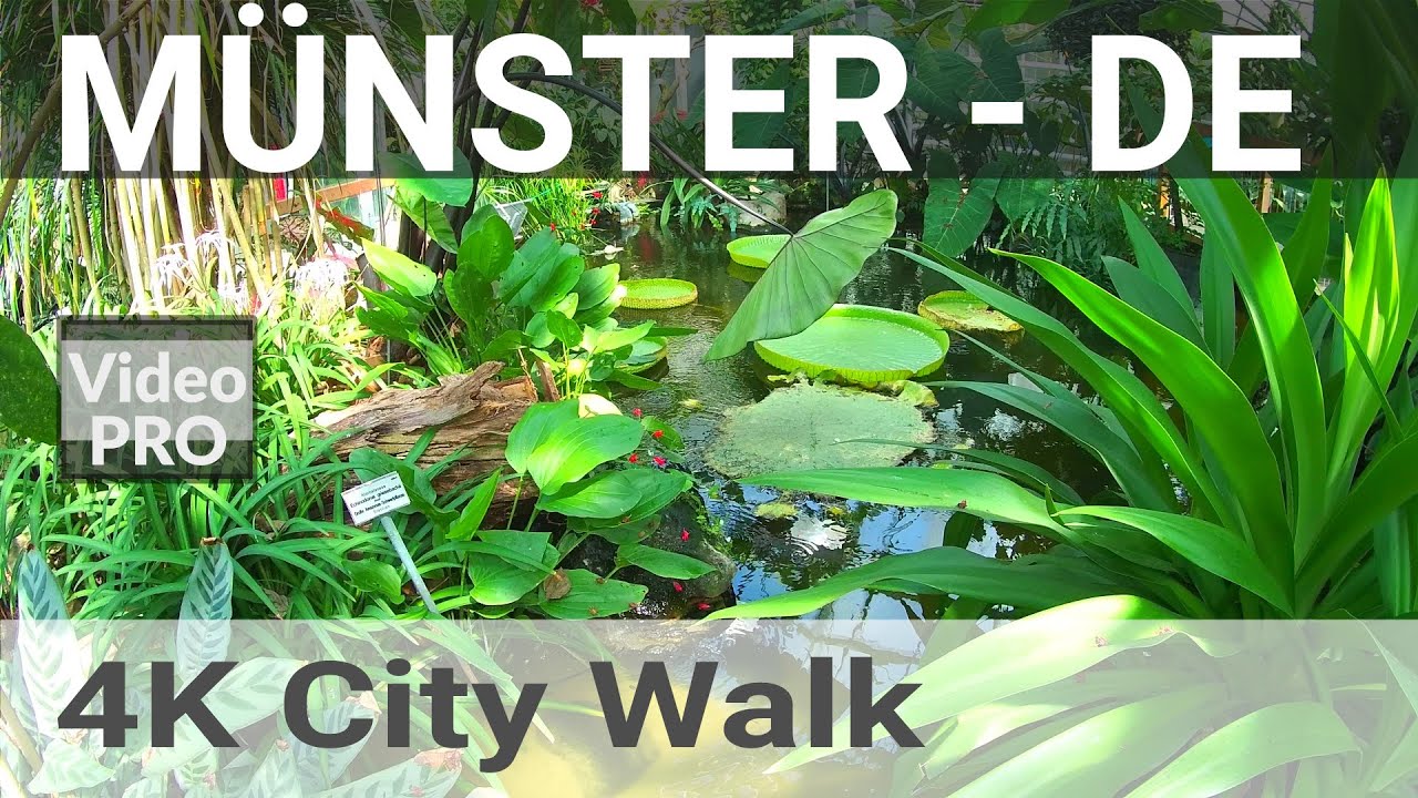 4K Walk Botanical Garden, Münster, Germany