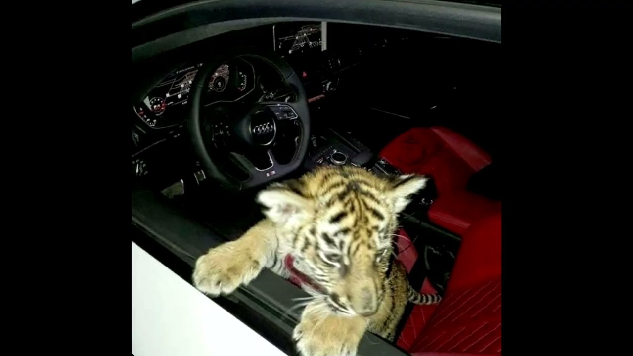 [ free] swagg4u +The Neptunes + 2000s rnb type beat - 