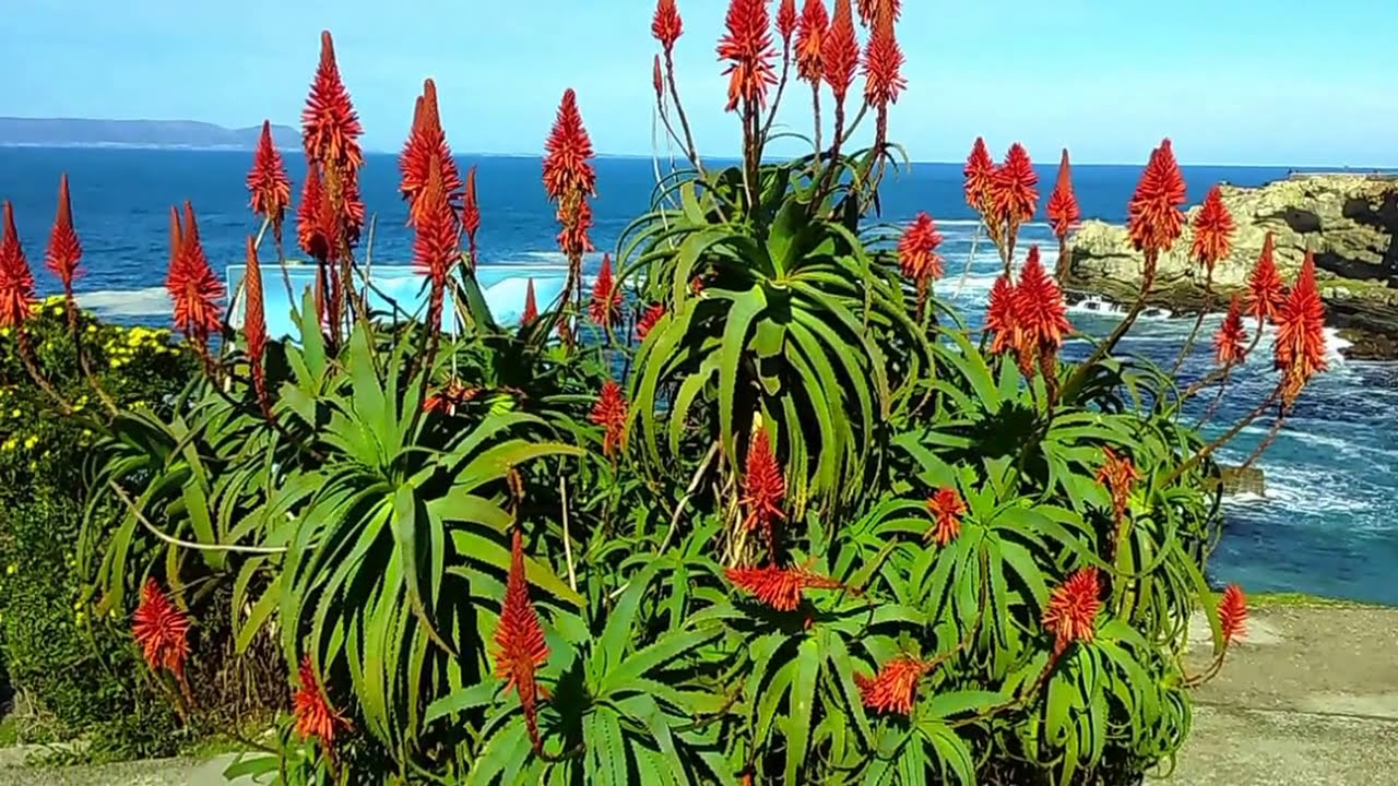 Overberg - What my Canon Saw in the Overberg