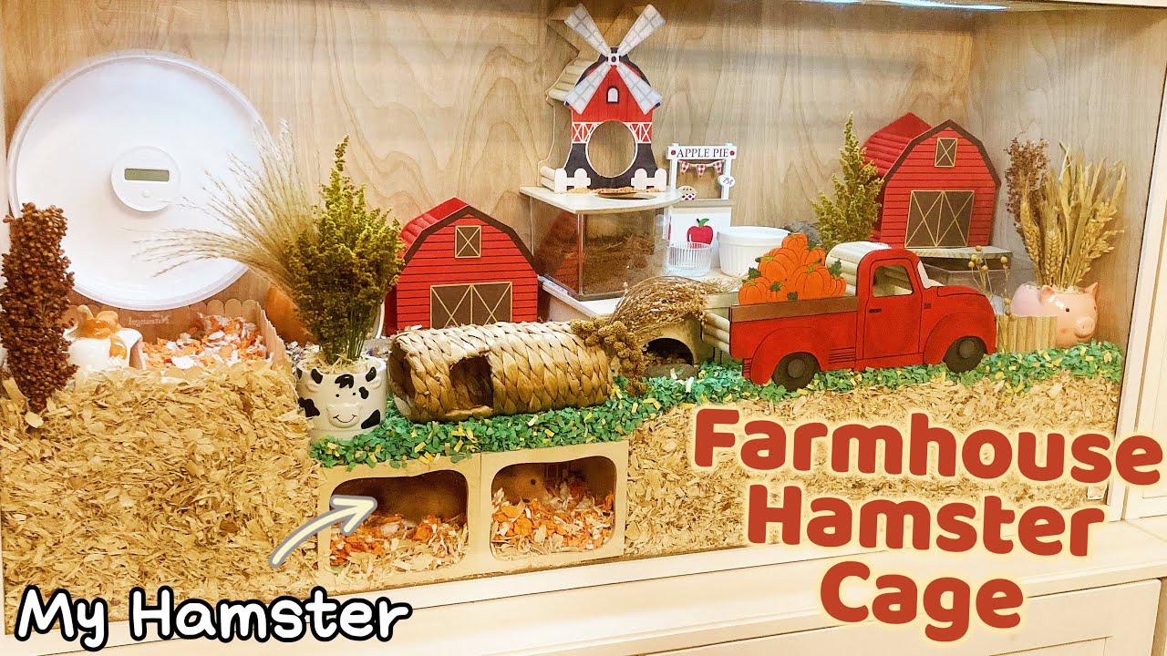 Set up a Fall Theme Hamster Cage With Me | Cookie's Farmhouse