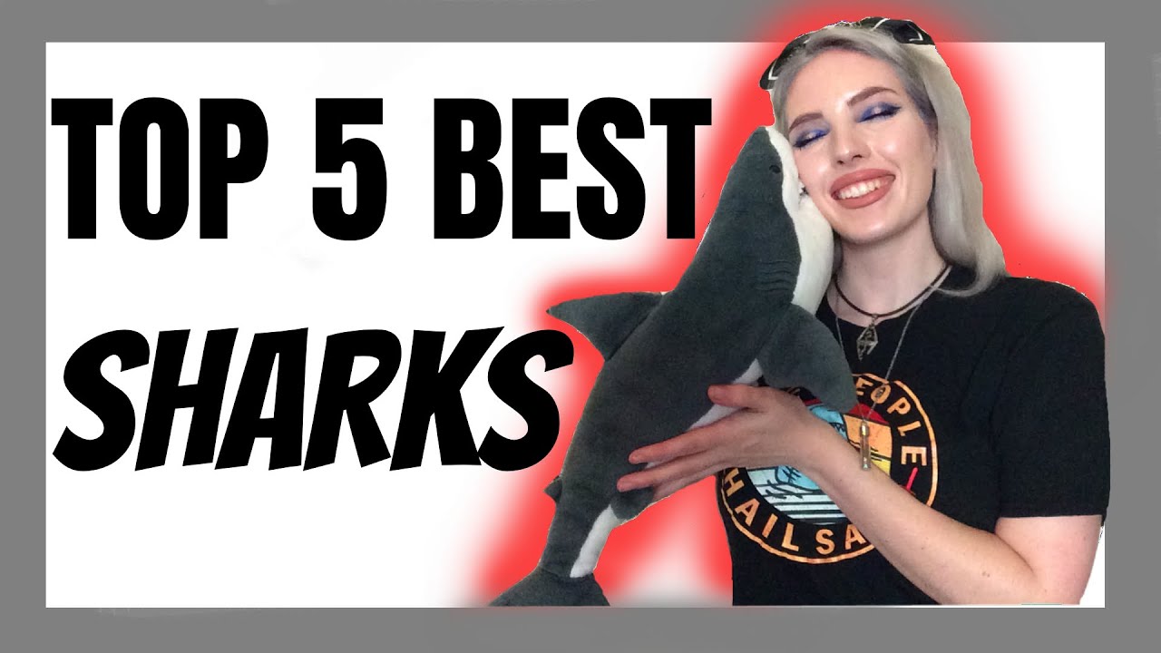 Biologist ranks the TOP 5 BEST SHARKS