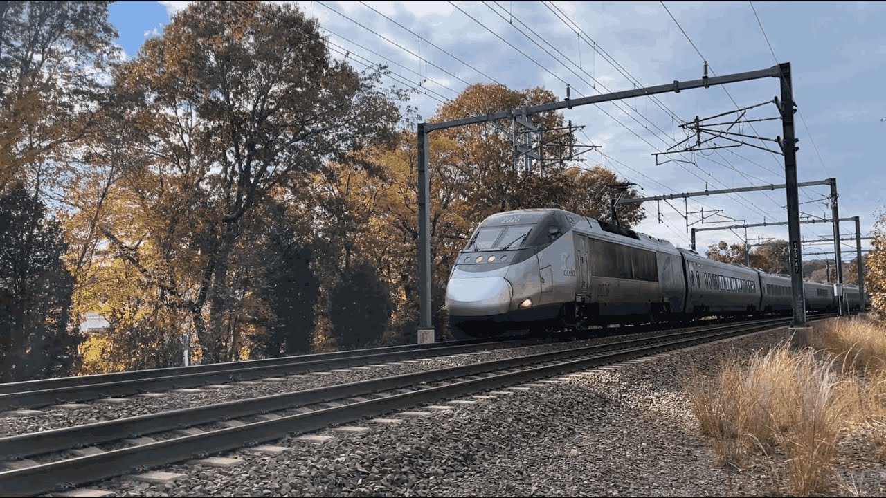 TrainBrain2000 Horn Collection 2025