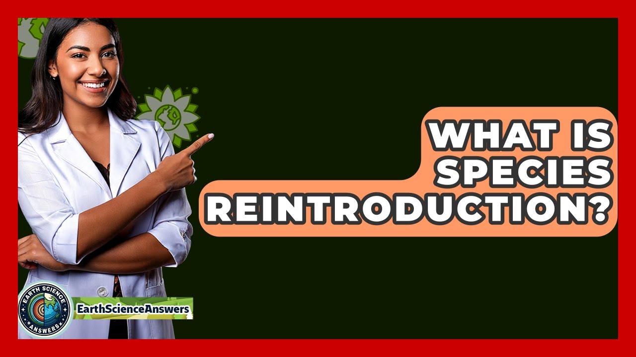What Is Species Reintroduction? - Earth Science Answers