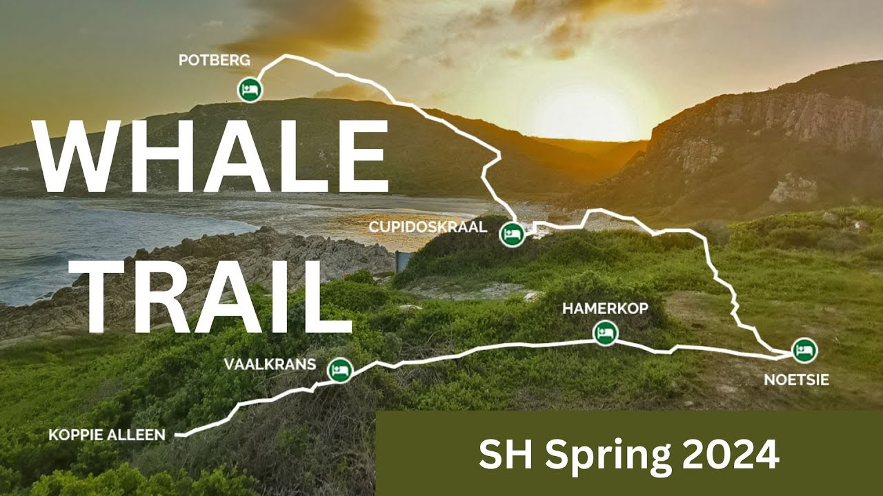 South Africa, Western Cape, Whale Trail