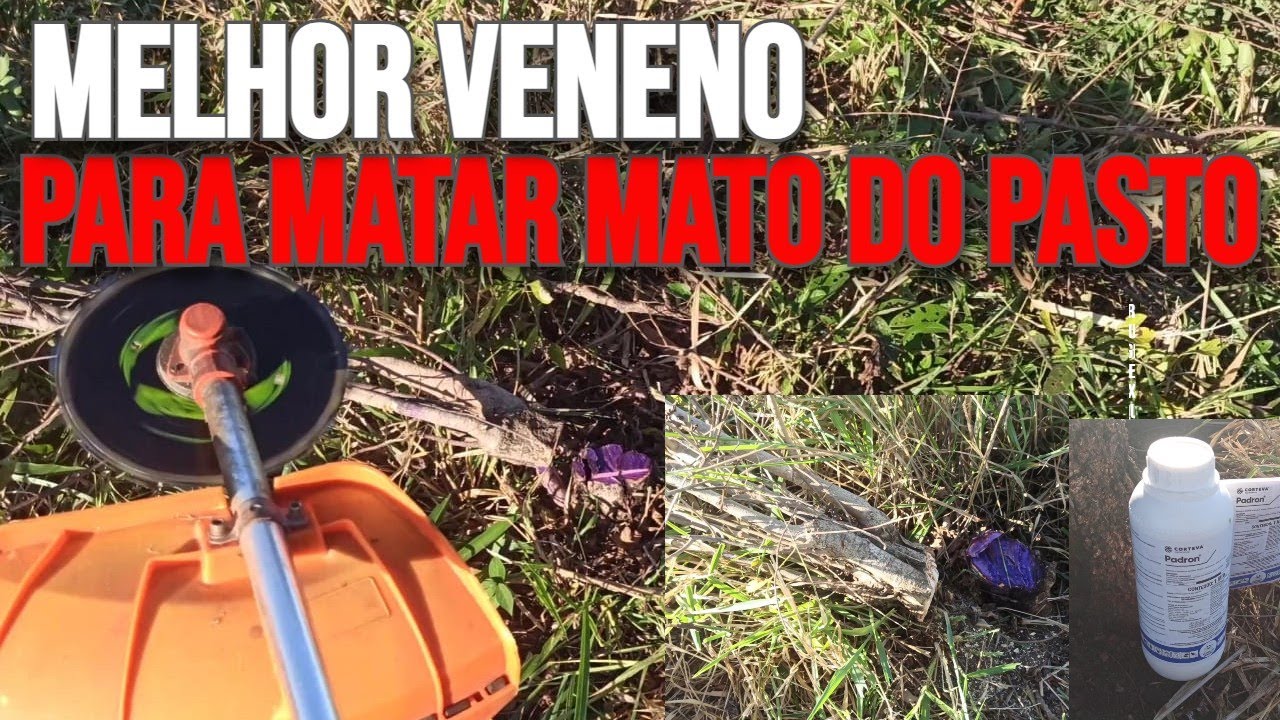 MELHOR VENENO para MATAR MATO no PASTO, HERBICIDA no TOCO
