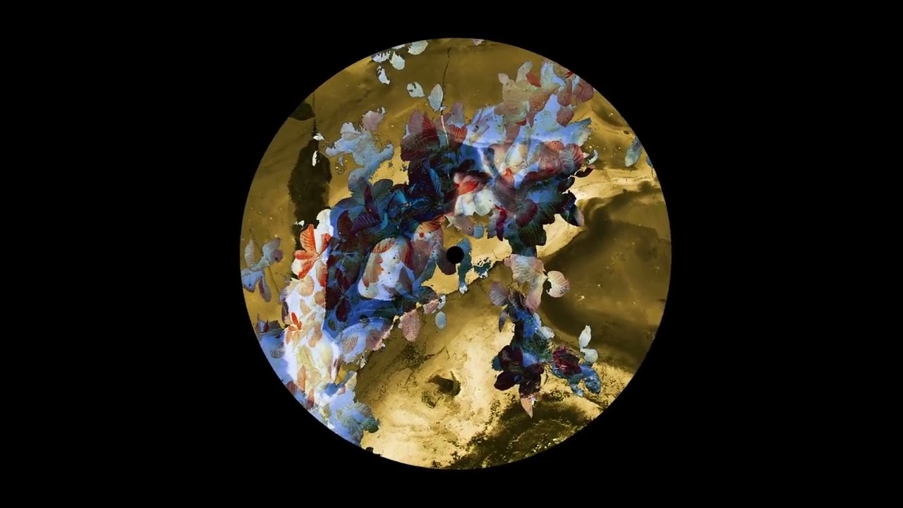 Dafs - W.House Music [TAMIRAS09]