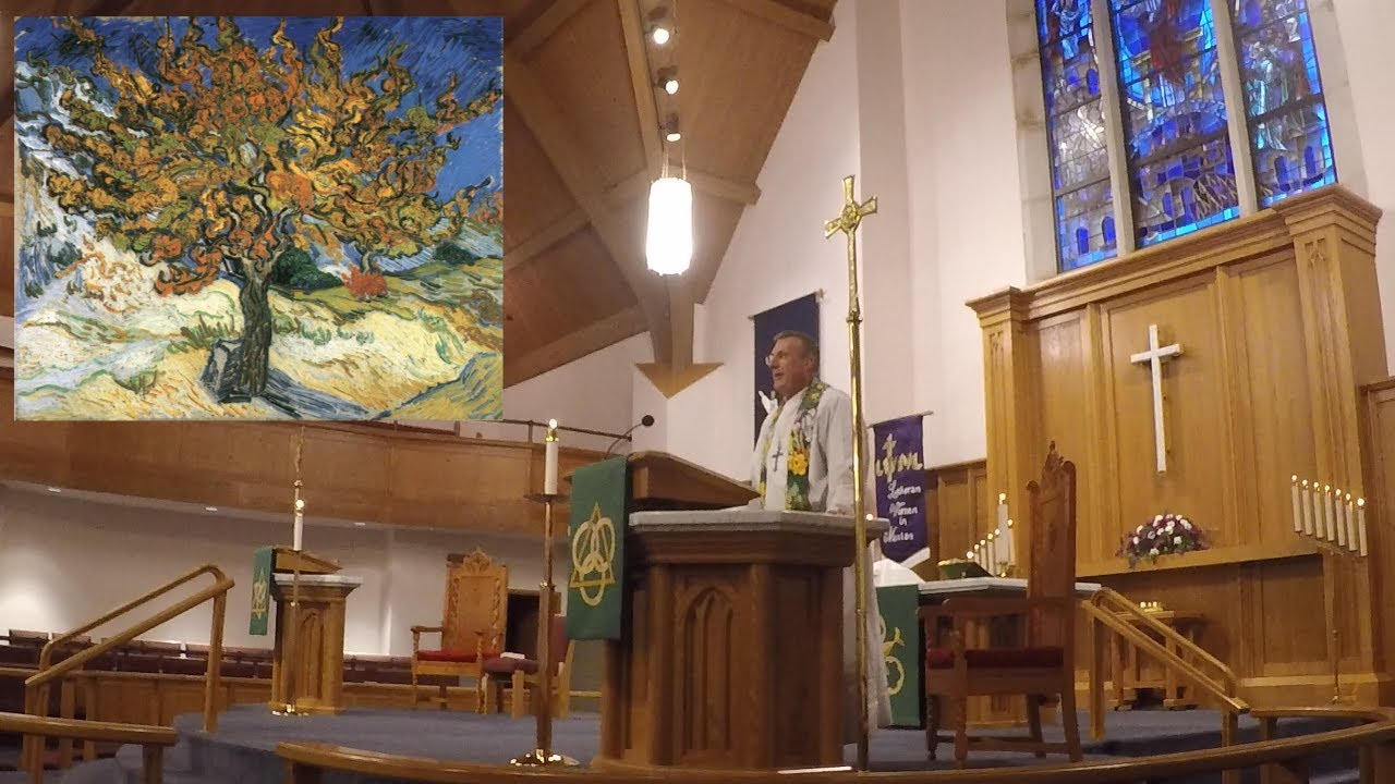 Sermon - Moving Mulberry Trees, Luke 17:6