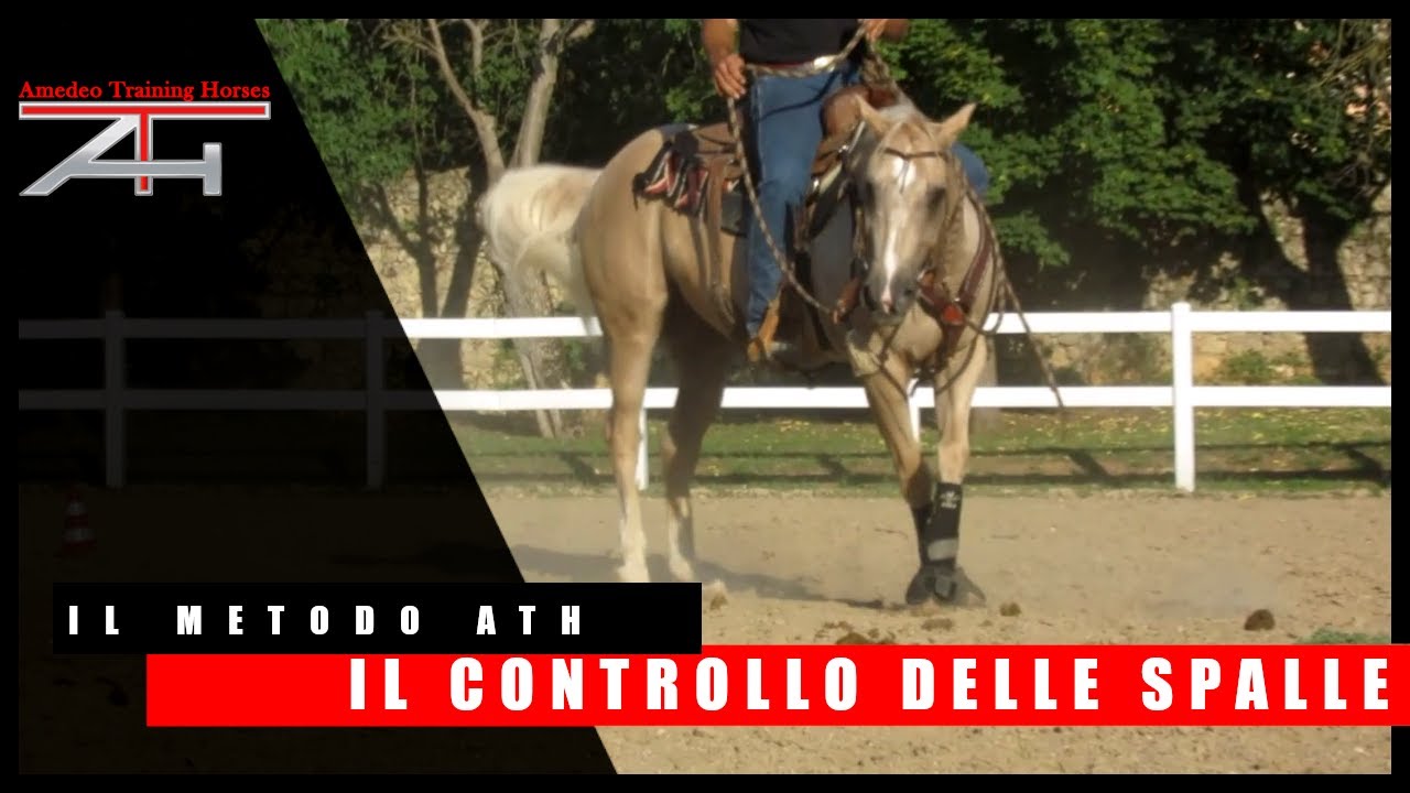 IL METODO ATH - IL CONTROLLO IN SELLA - IL CONTROLLO DELLE SPALLE