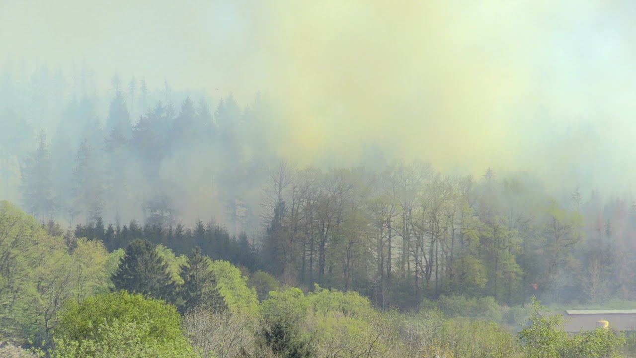 [GROSSER WALDBRAND IN GUMMERSBACH] - Ca. 50 Hektar Wald in Flammen | 400 Kräfte im Großeinsatz -