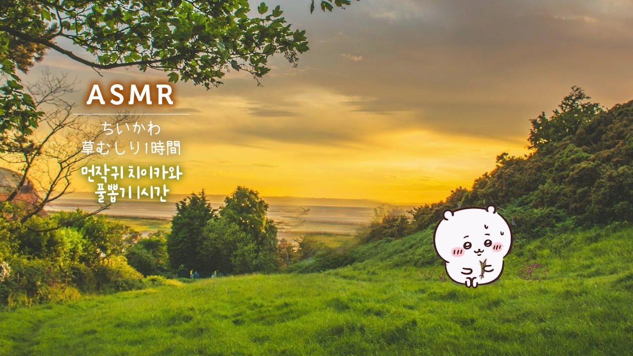 Something Small and Cute Chiikawa, Grass weeding (with all  requests) | Music, Relaxing, Soothing
