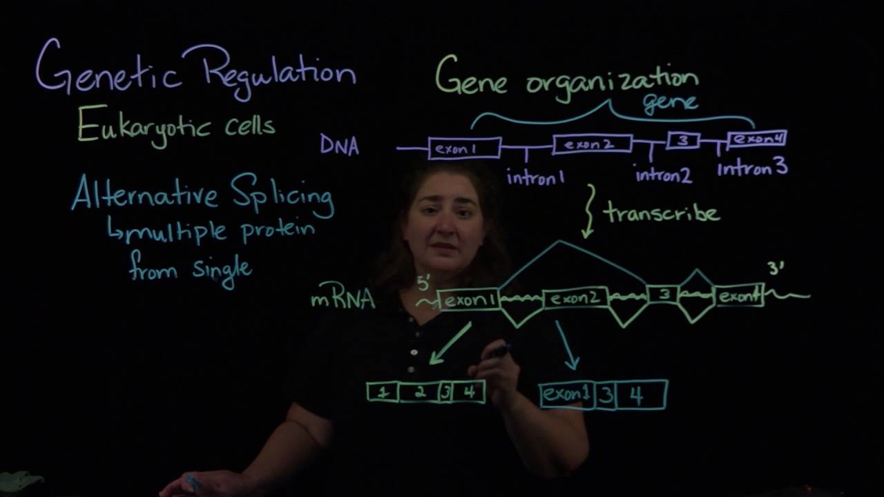 Alternative splicing