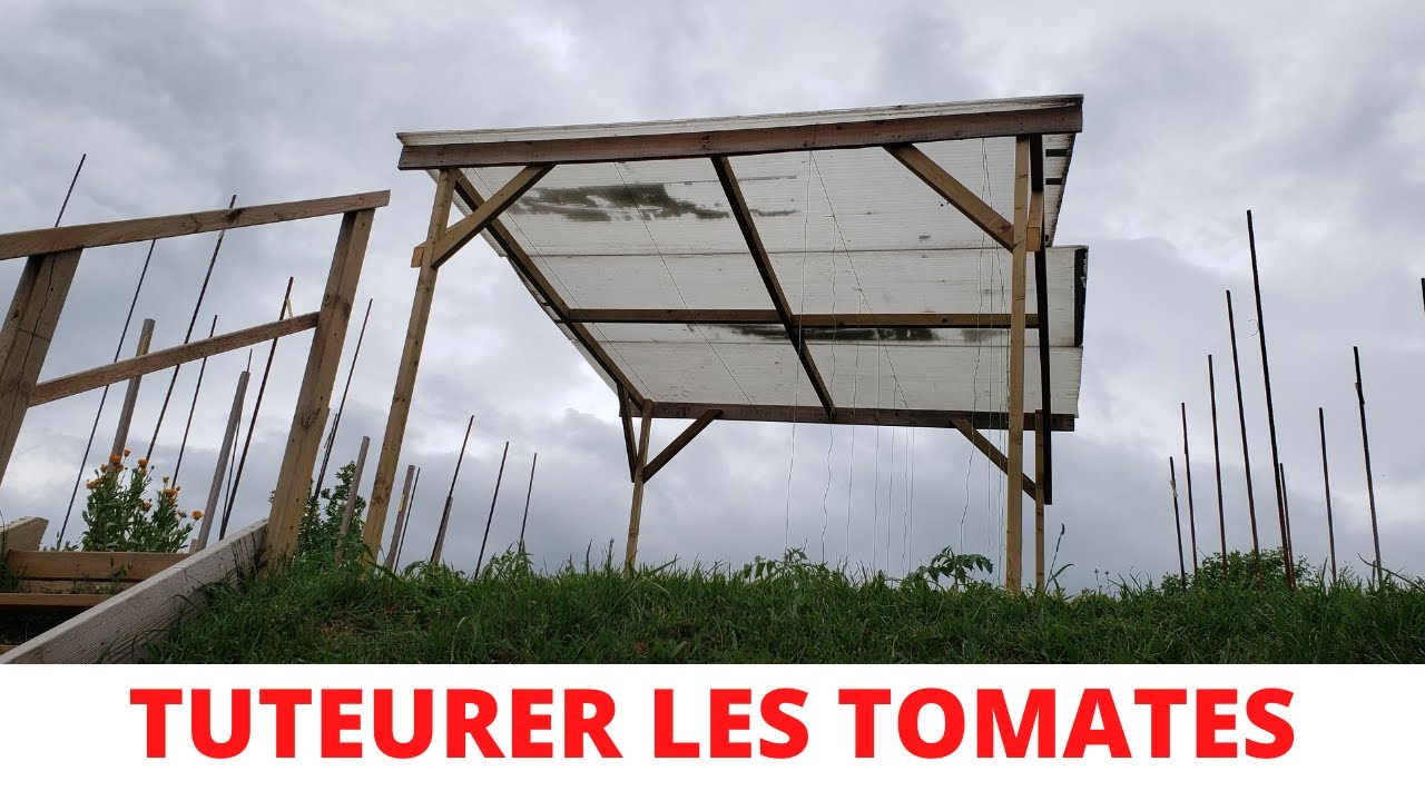 TUTEURER LES TOMATES / Construire une structure en bois