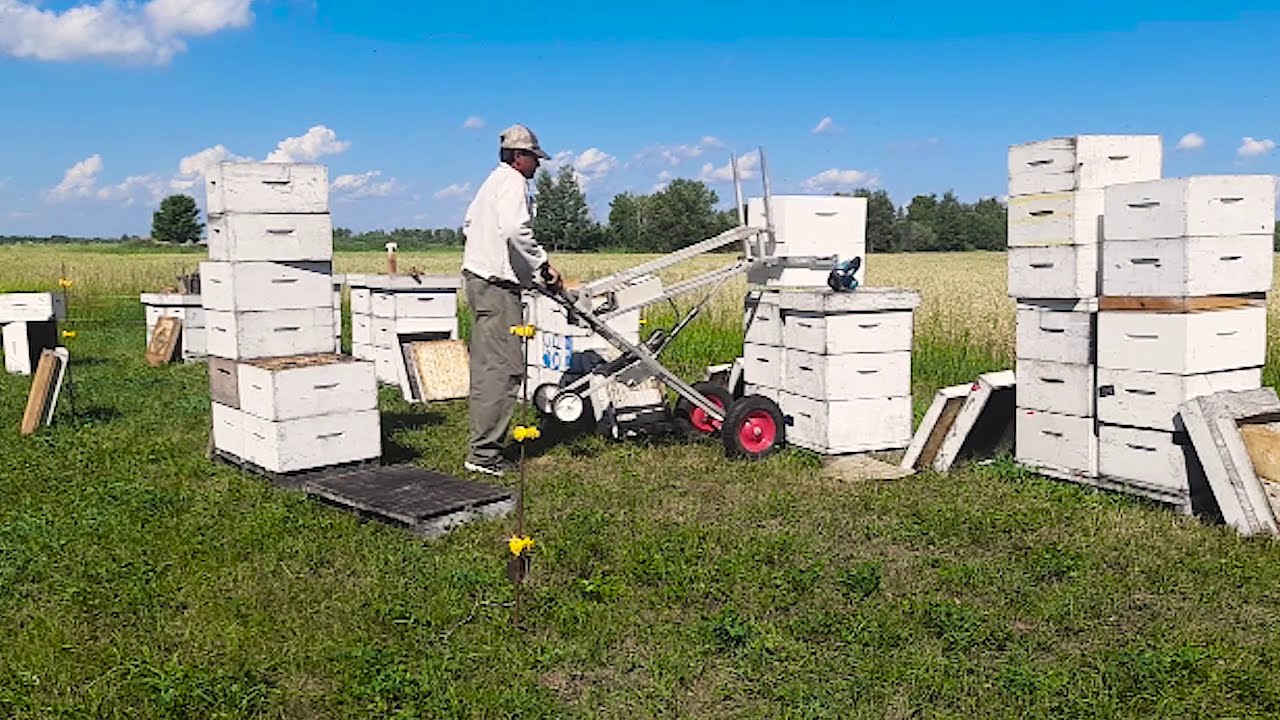 New Hive Lifter B2 and B3 Models
