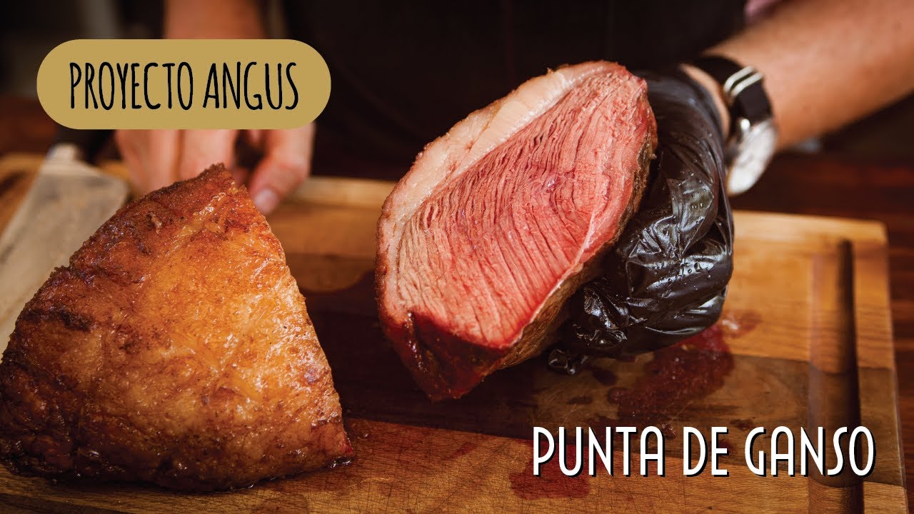 Proyecto Angus: Capítulo 30 “Punta de Ganso”