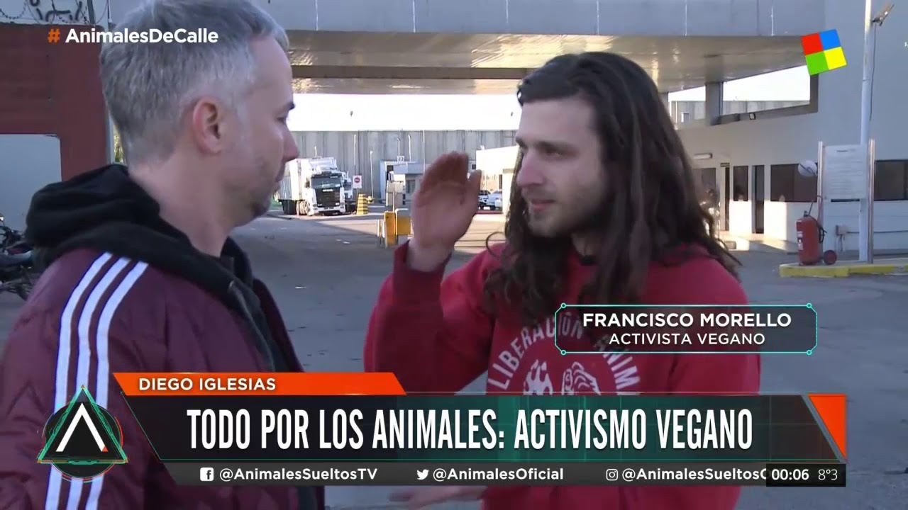 Todo por los animales: Activismo vegano