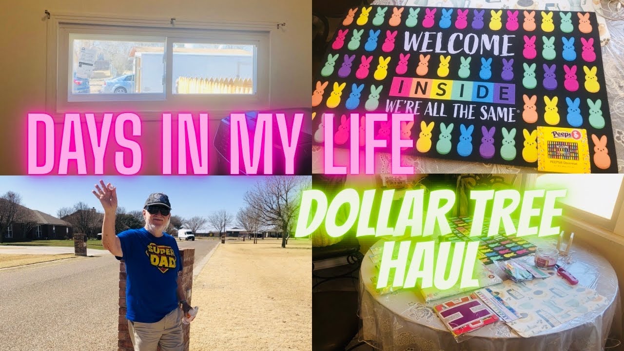 DAYS IN MY LIFE! NEW WINDOWS/ 2 DOLLAR TREE HAULS/ LET’S WALK! 