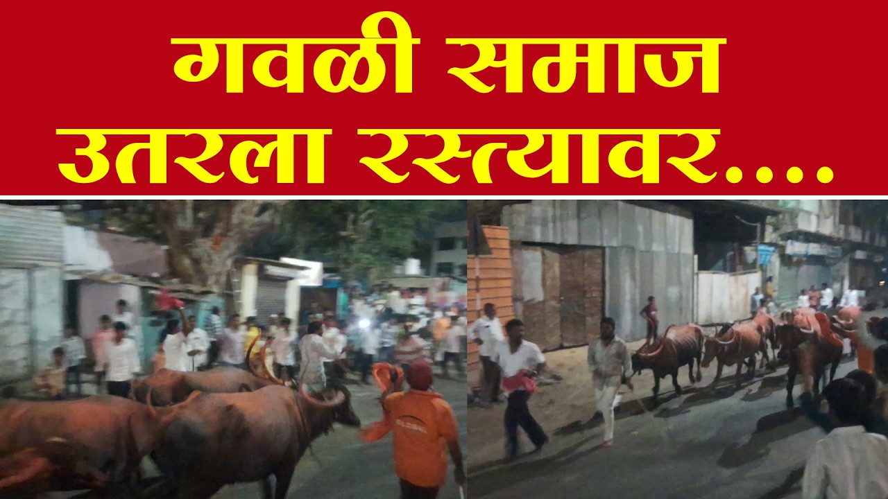 गवळी समाज उतरला रस्त्यावर.... | GAVALI SAMAJ