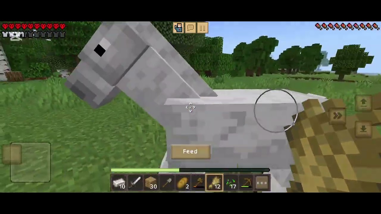 Minicraft hardcor ახალი ეპიზოდები ახალი სახლი