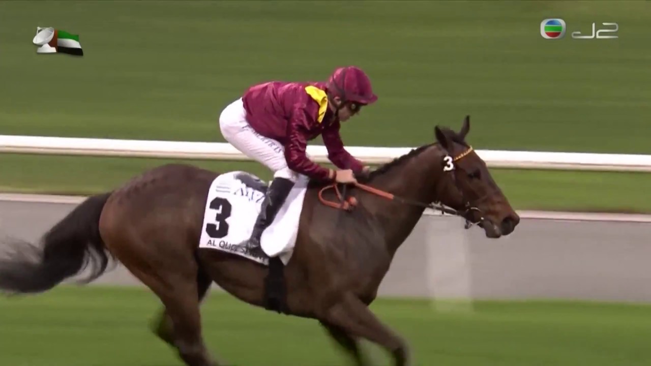 2017 阿喬斯短途錦標 Al Quoz Sprint アルクオーツスプリント 正確人選 The Right Man 貝卓成