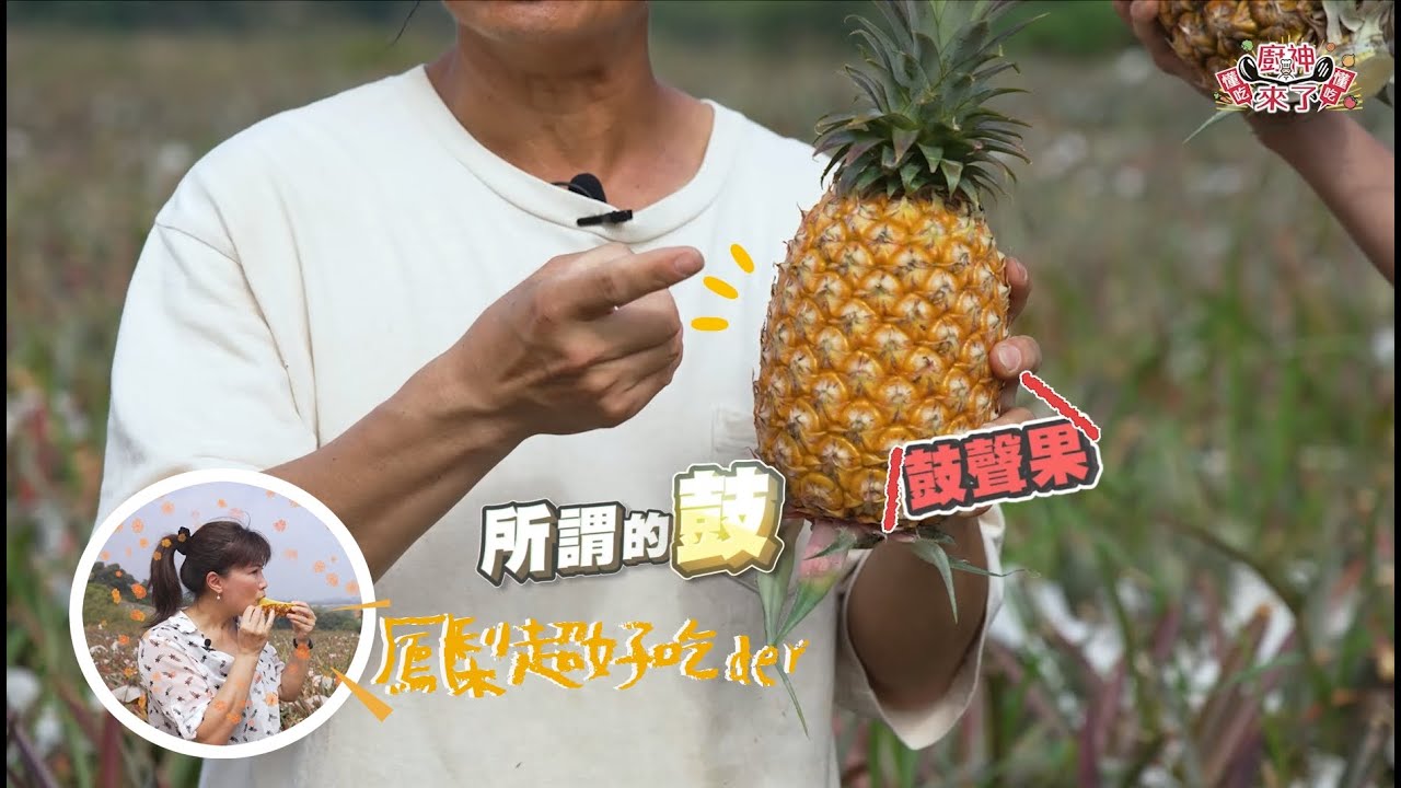 【✨廚神來了懂吃懂吃ep 2✨】酸甜滋味現在吃鳳梨正對時 怎麼挑怎麼吃專家一次教給你 feat. Amyの私人廚房