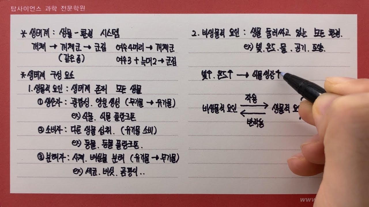 생태계 구성요소(생산자, 소비자, 분해자)