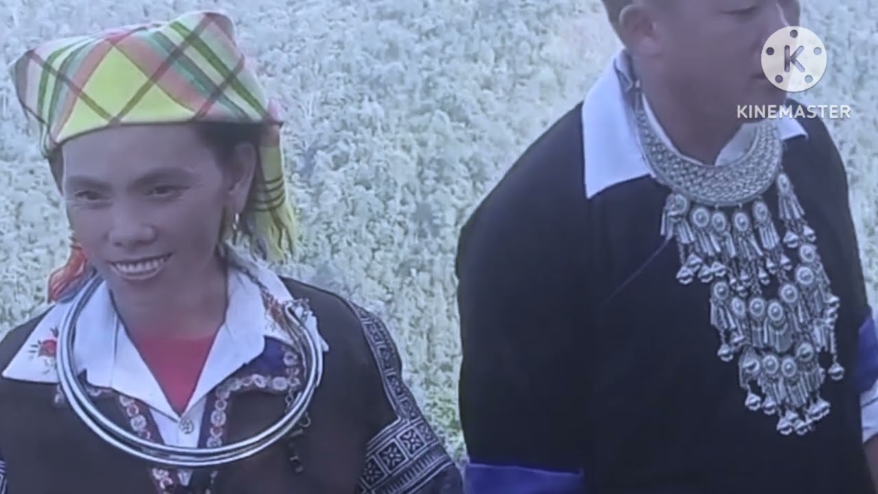 19 tháng 12, 2025
