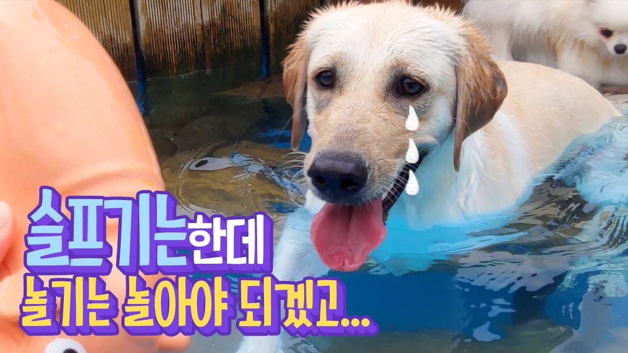 슬프긴한데 놀기는 놀아야겠고...내적갈등 겪는 소녀ㅋㅋㅋ