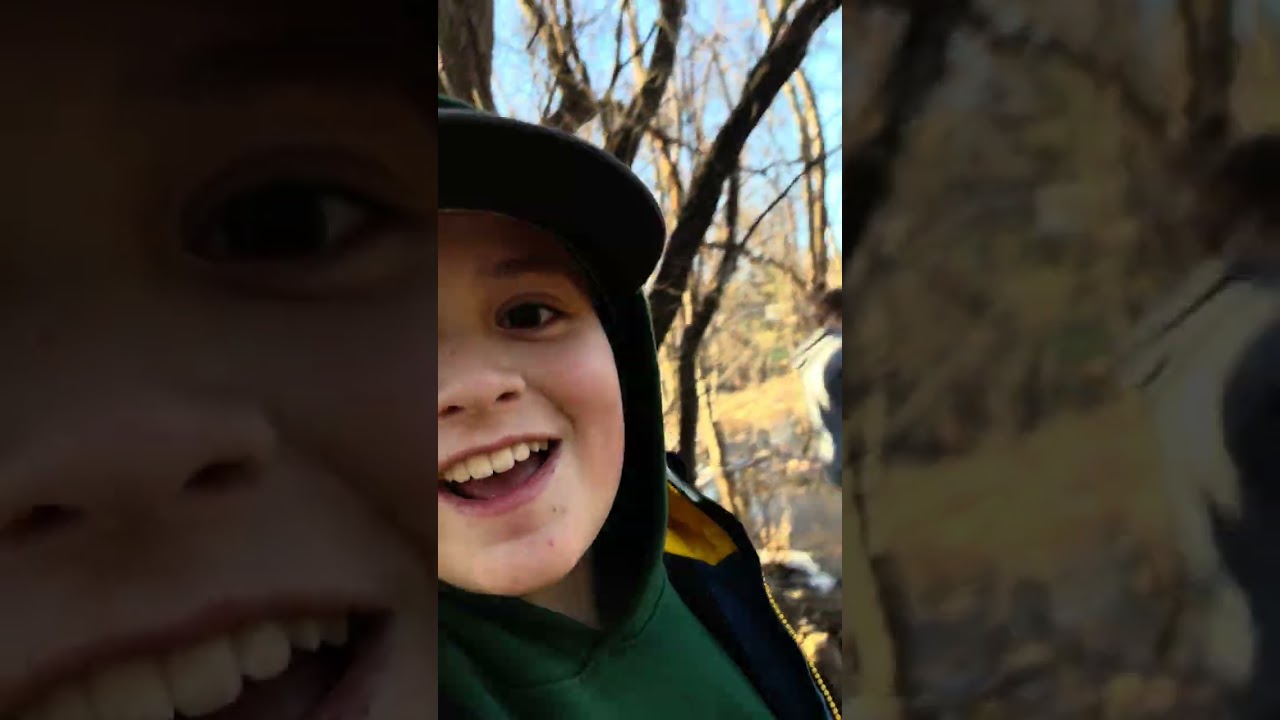 Forest asmr