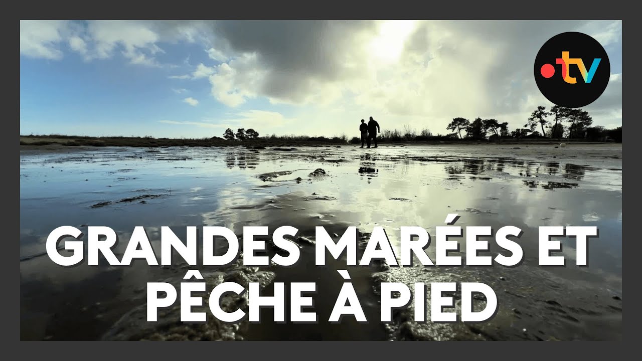 Grandes marées et pêche à pied sur le Bassin d'Arcachon