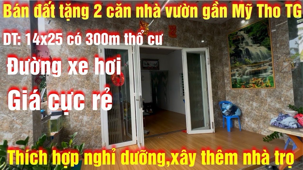 Tập 378 bán đất tặng 2 căn nhà vườn có 300 thổ cư, gần mỹ tho tiền giang 