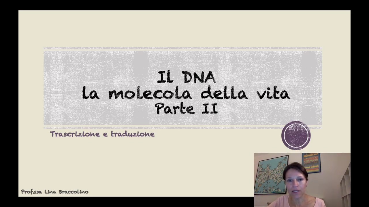 DNA_parte seconda: trascrizione traduzione