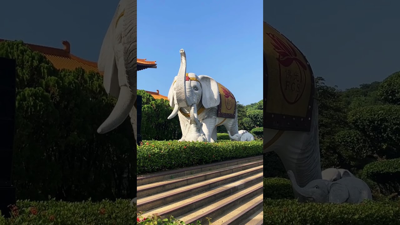 @FGSBLTV  2025 佛光山 神明聯誼會
