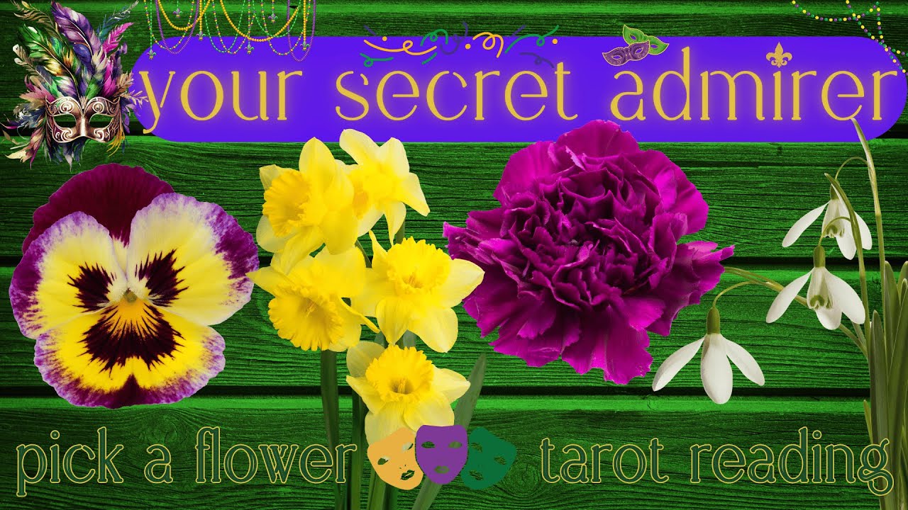 Who Has A Secret Crush On You? Their Next Move? What's Next?🌹| Pick A Card Tarot Reading For Love
