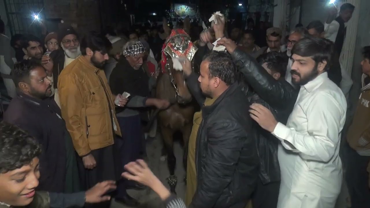 13 Rajab 2026 | Jashan E Mola Ali as | 13 Rajab Jashan 👍🏻🥰