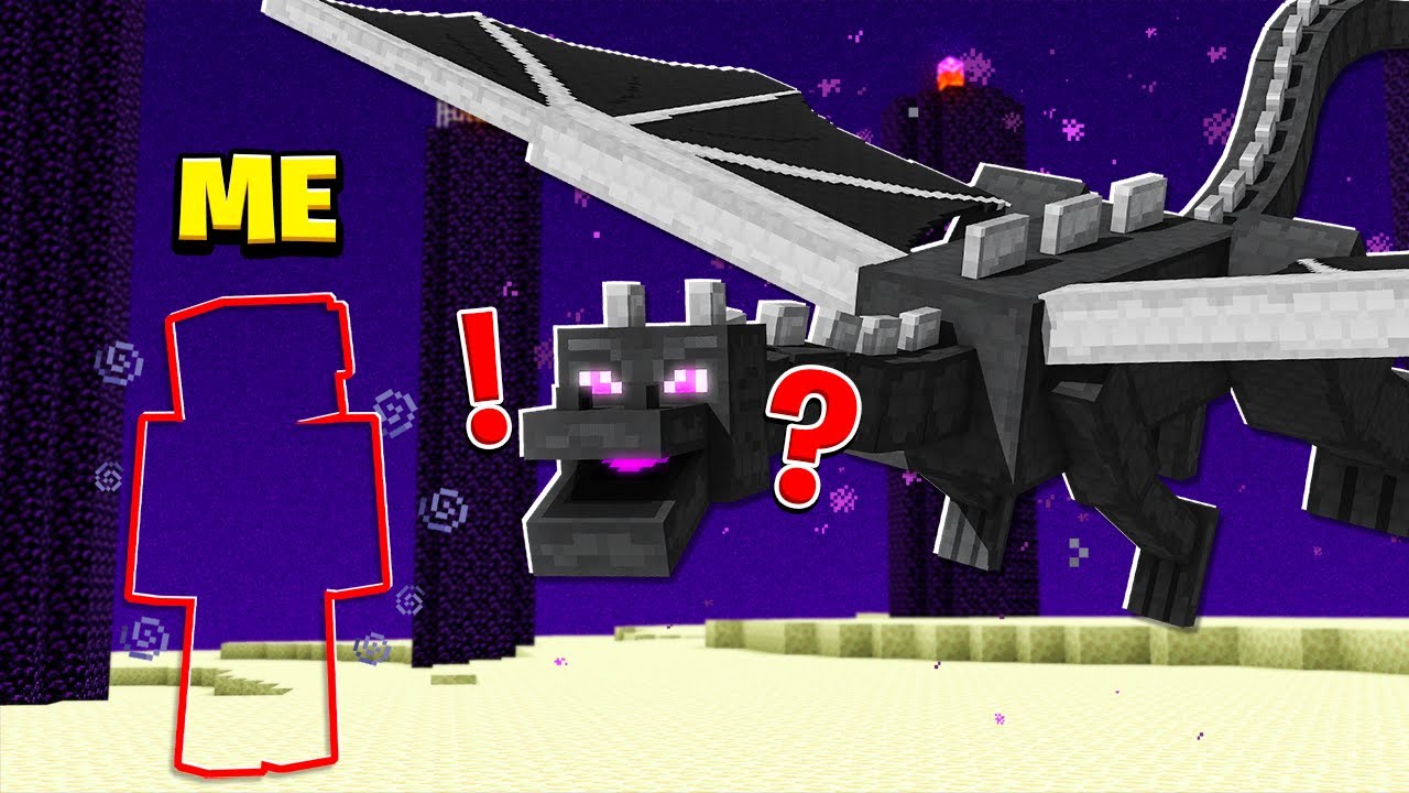Invisibility Trolling The ENDERDRAGON On My Server...