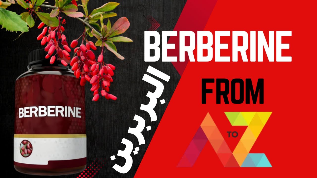 Berberine | البربرين | افضل وقت للاستخدام | موانع الاستخدام | كيفية اختيار منتج جيد