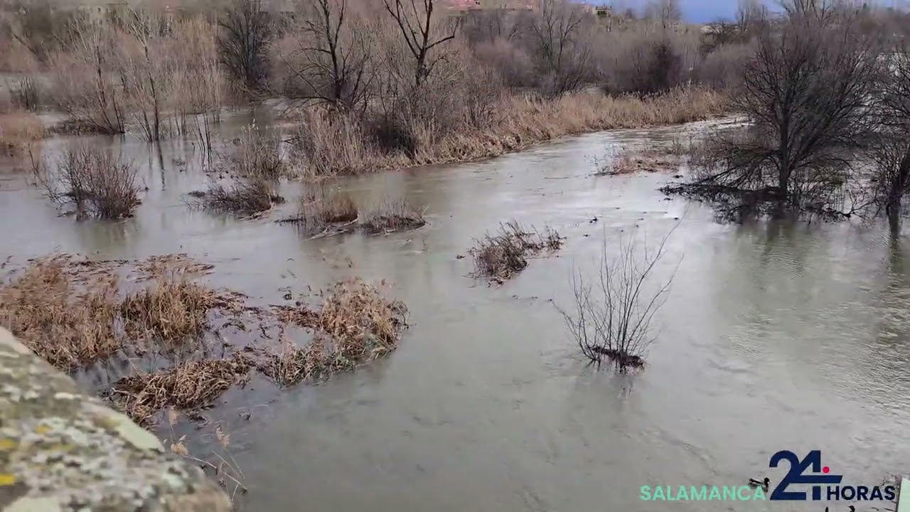 Inundada la ribera del Tormes tras la crecida del caudal del río a su paso por Salamanca