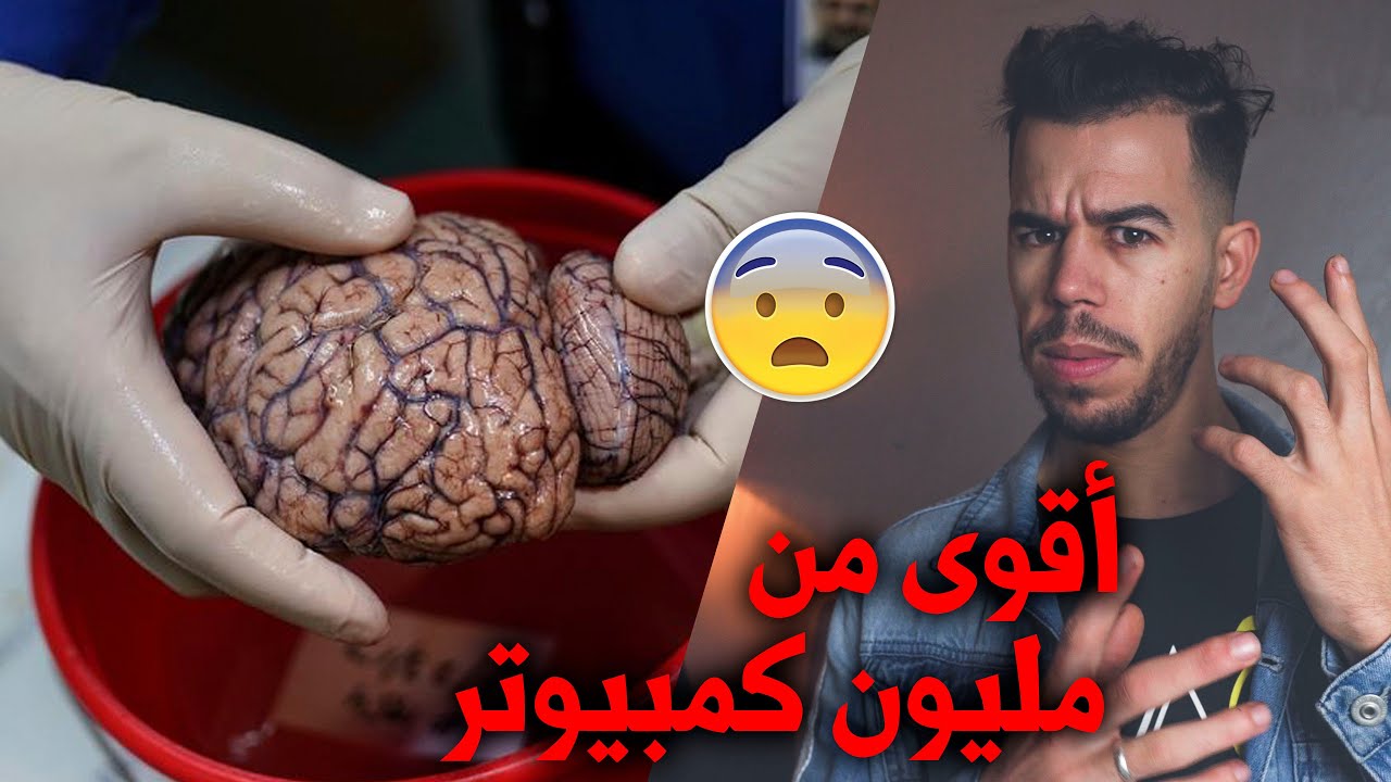القدرة الهائلة للمخ البشري 😯