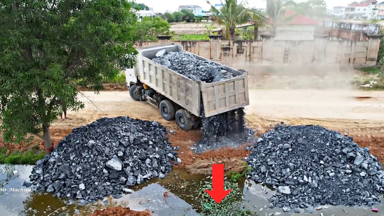 Incredible Starting New Project Filling  Up Rock Stone Leveling On Lotus Field  By Bulldozer Pushing