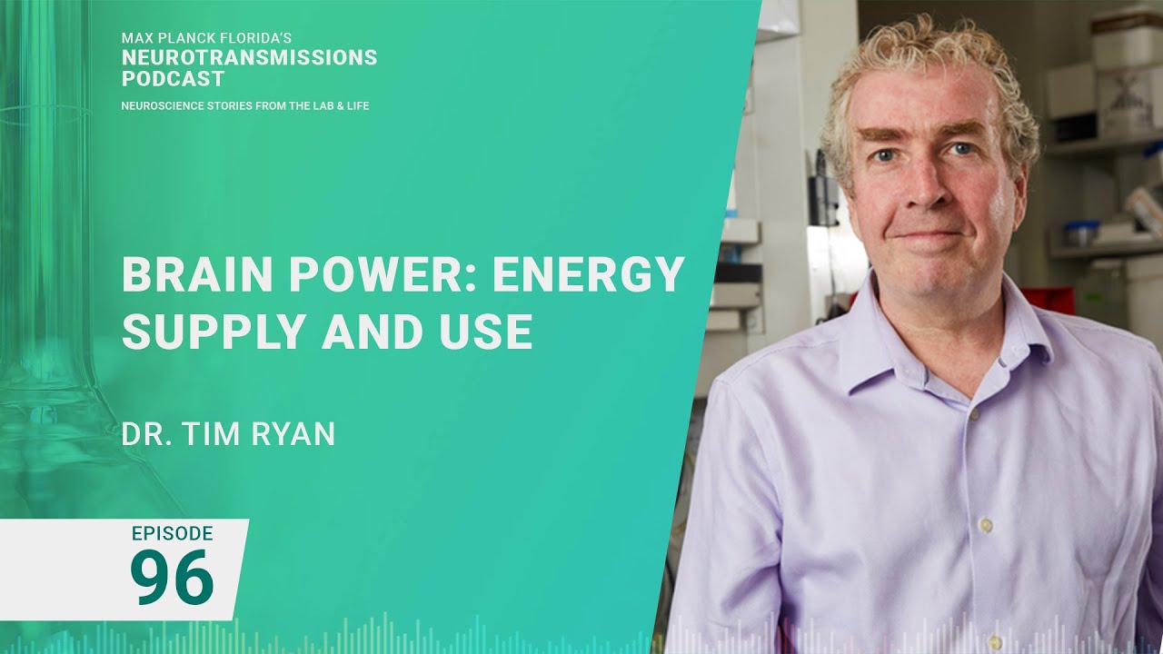 Podcast Episode 96 - Brain Power: Understanding the Brain's Energy Supply and Use | Tim Ryan