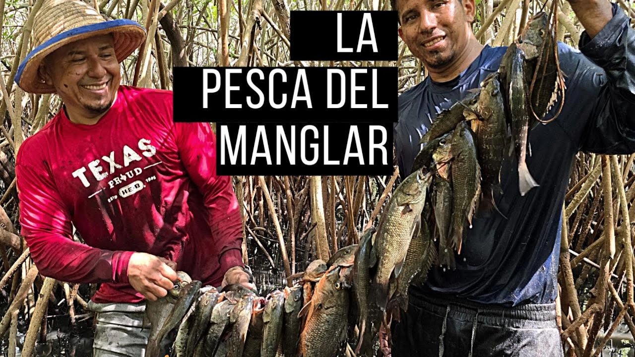 Lo Más Increíble que Solo con las Manos, se agarraban estos Peces