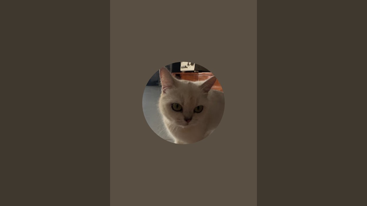 test IQ toán tư duy logic 😘