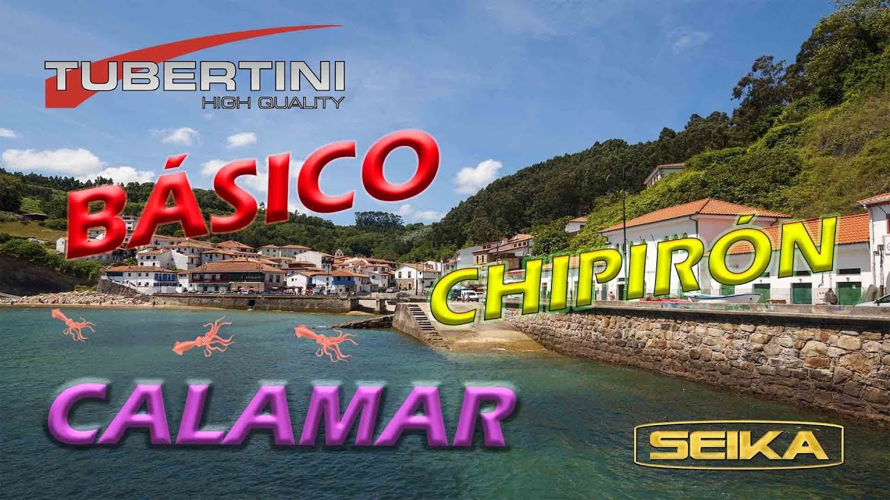 APAREJO CALAMAR CIHIPI O CHOCO simple  PARA LANCE  (EGING) 3/5