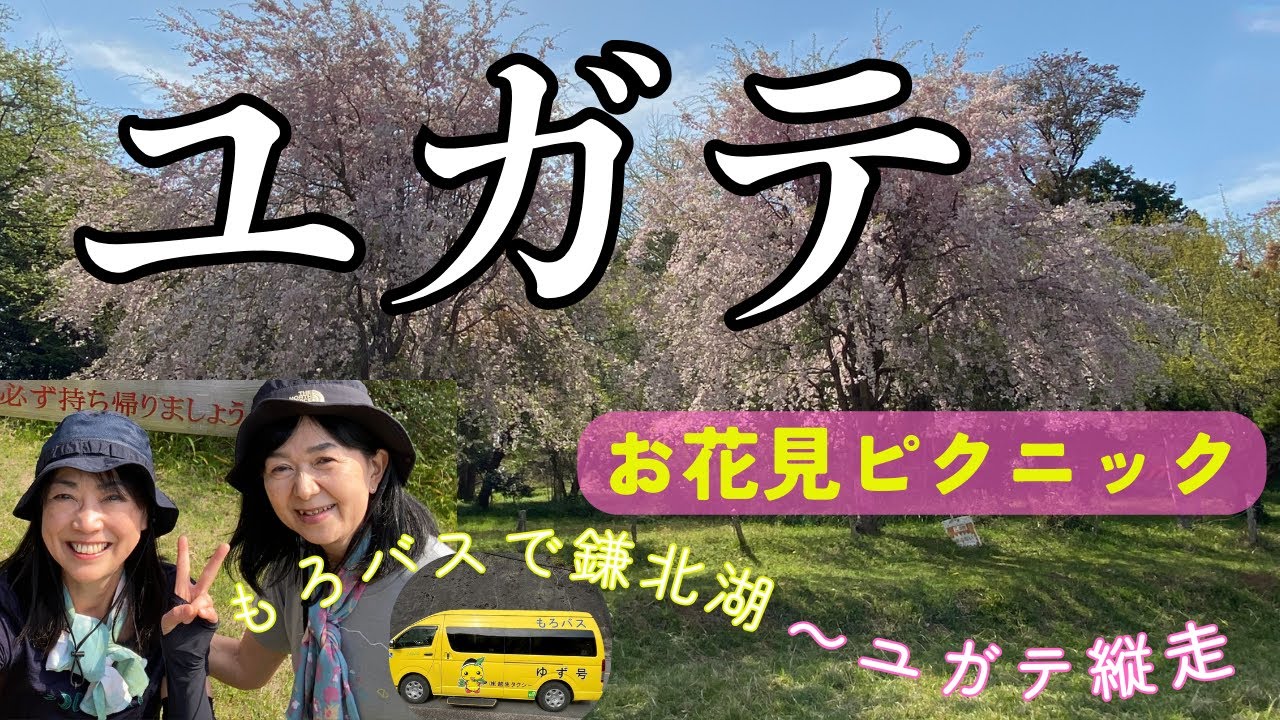 【4月 ユガテ】春爛漫のユガテでピクニック〜毛呂駅スタート もろバスで鎌北湖へ出て登山開始〜 観音岳・スカリ山を超えてユガテに到達〜橋本山経由で西武線東吾野駅にゴール！山頂クッキングで1日のんびり