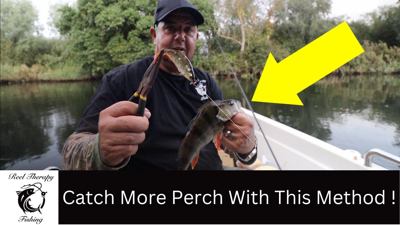 Live Baiting For Perch On The River Waveney | Pike & Perch On Lures From A Boat | Small Boat Fishing