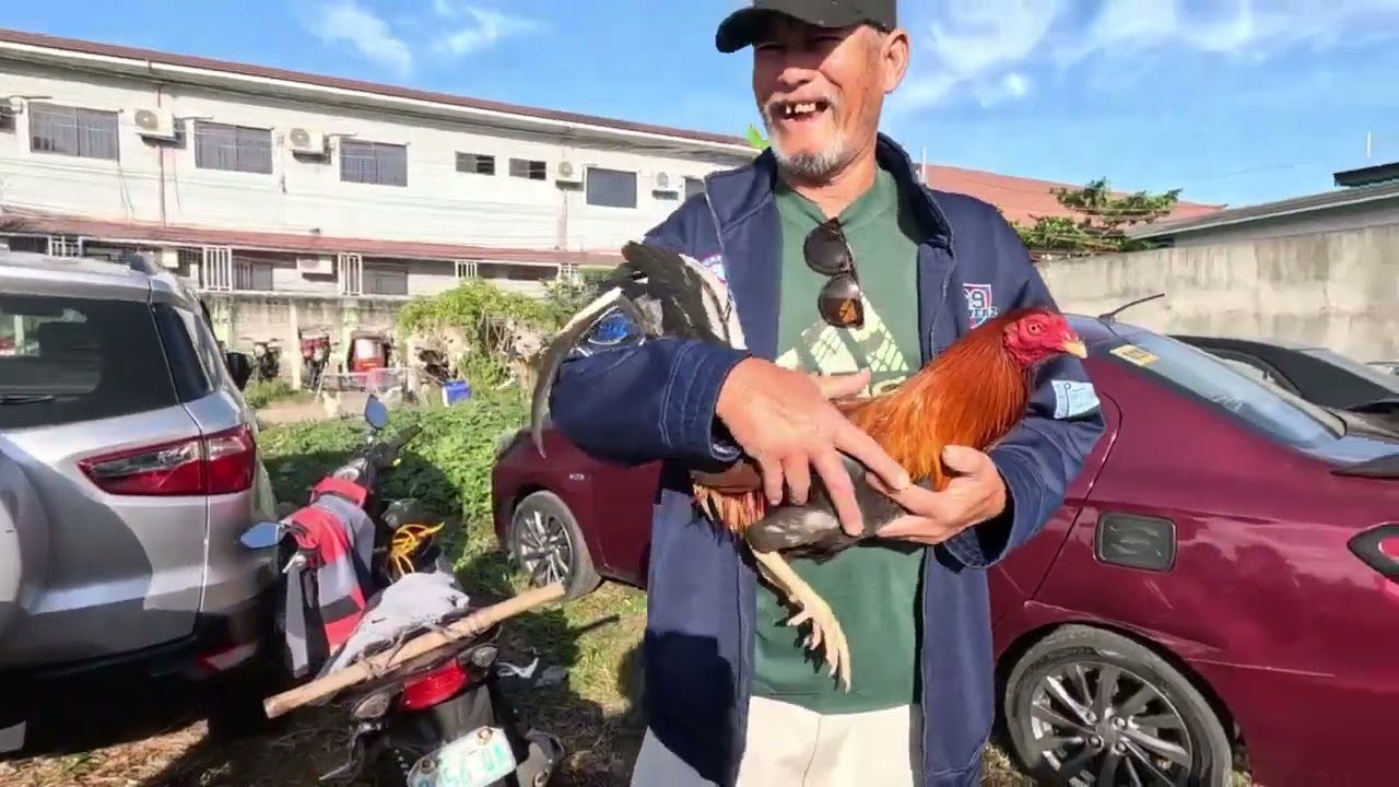 natawa ko kay bossing di pa nagiinit ung bayad kinuha na ni misis! mura manok nya 1500 pababa!.