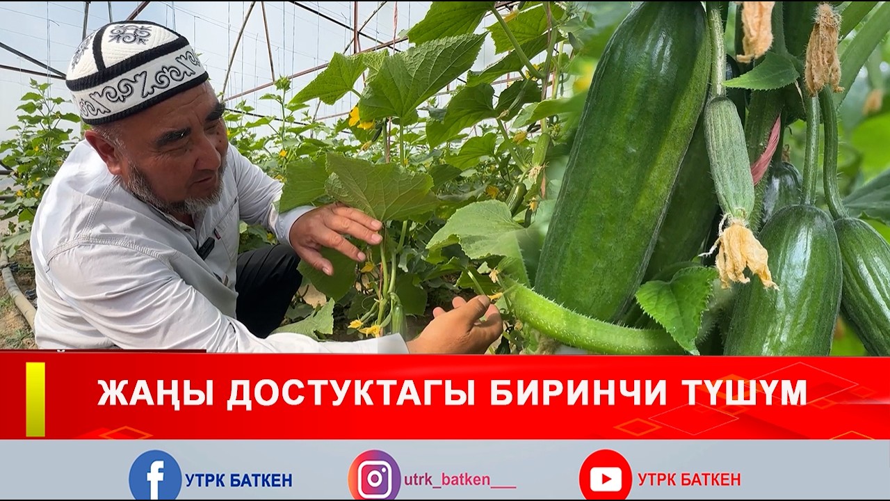 ЖАҢЫ ДОСТУКТАГЫ БИРИНЧИ ТҮШҮМ