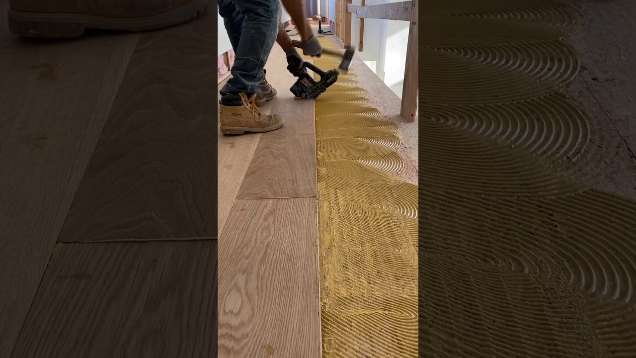 Oak Wide plank 10&rdquo; being glued and nailed #hardwood #flooring #installation #work